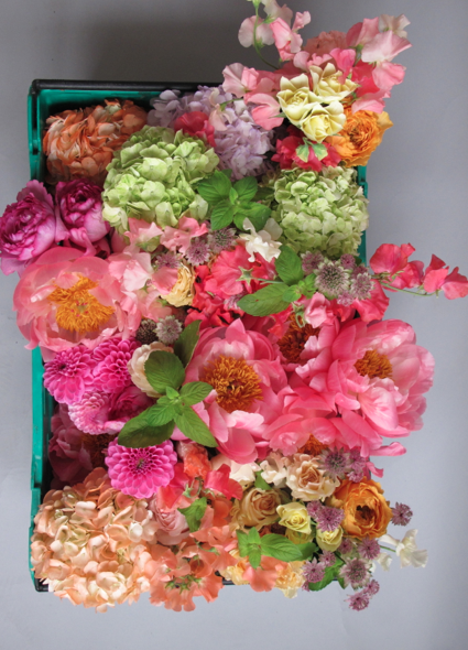 FLOWER APPRECIATION SOCIETY 03